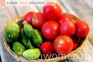 Tomaten- en komkommersalade voor de winter