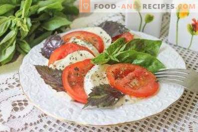 Salades met mozzarella en tomaten