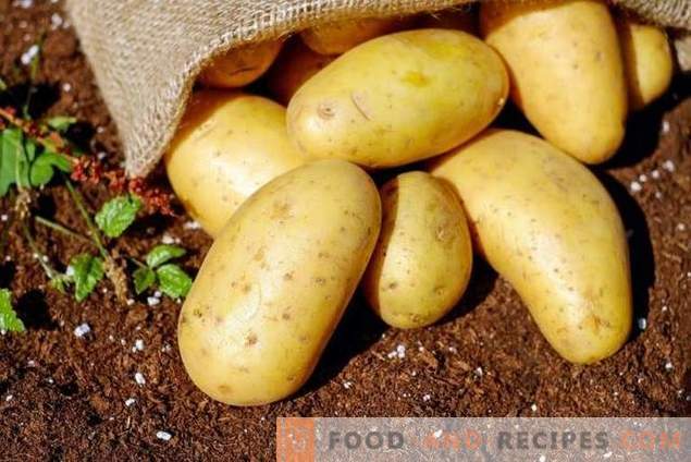 Beoordeling van goedkope middelen voor het voorbereiden van de voorbereiding van aardappelen op ziekten en plagen