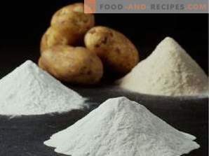 Modified starch: harm and use