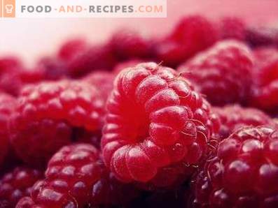 Raspberry: nuttige eigenschappen en contra-indicaties