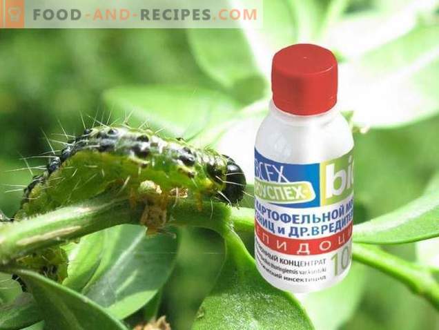 Lepidocide is een effectief medicijn tegen bladetende plagen