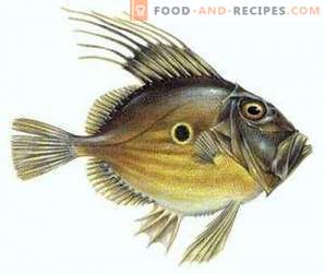 Dori Fish: Benefit en Harm
