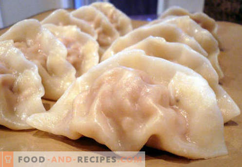 Dumplings on kefir - de beste recepten. Hoe thuis en op de juiste manier knoedels op Kefir te bereiden.